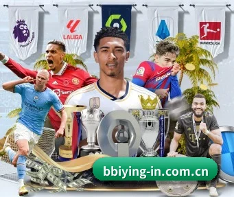 bbiying-in.com.cn APP
